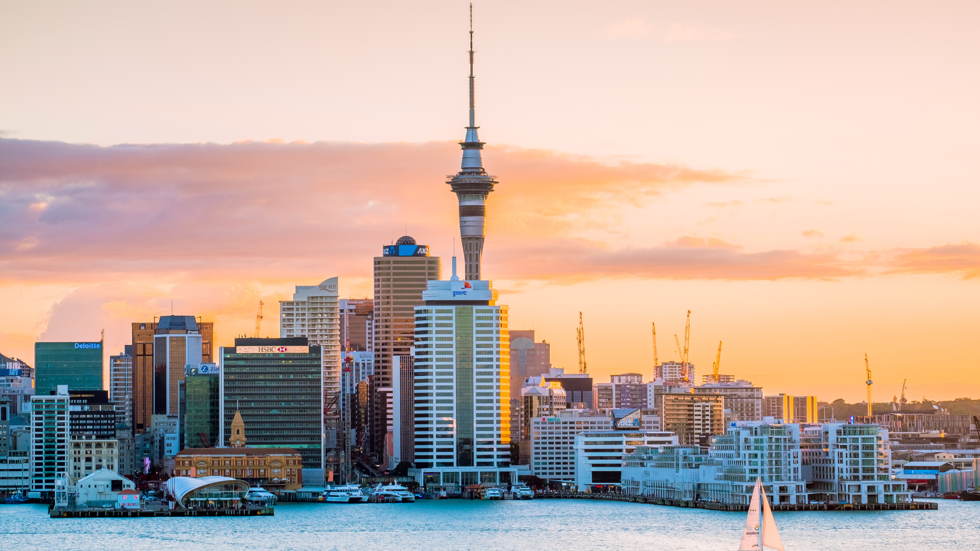 auckland.png