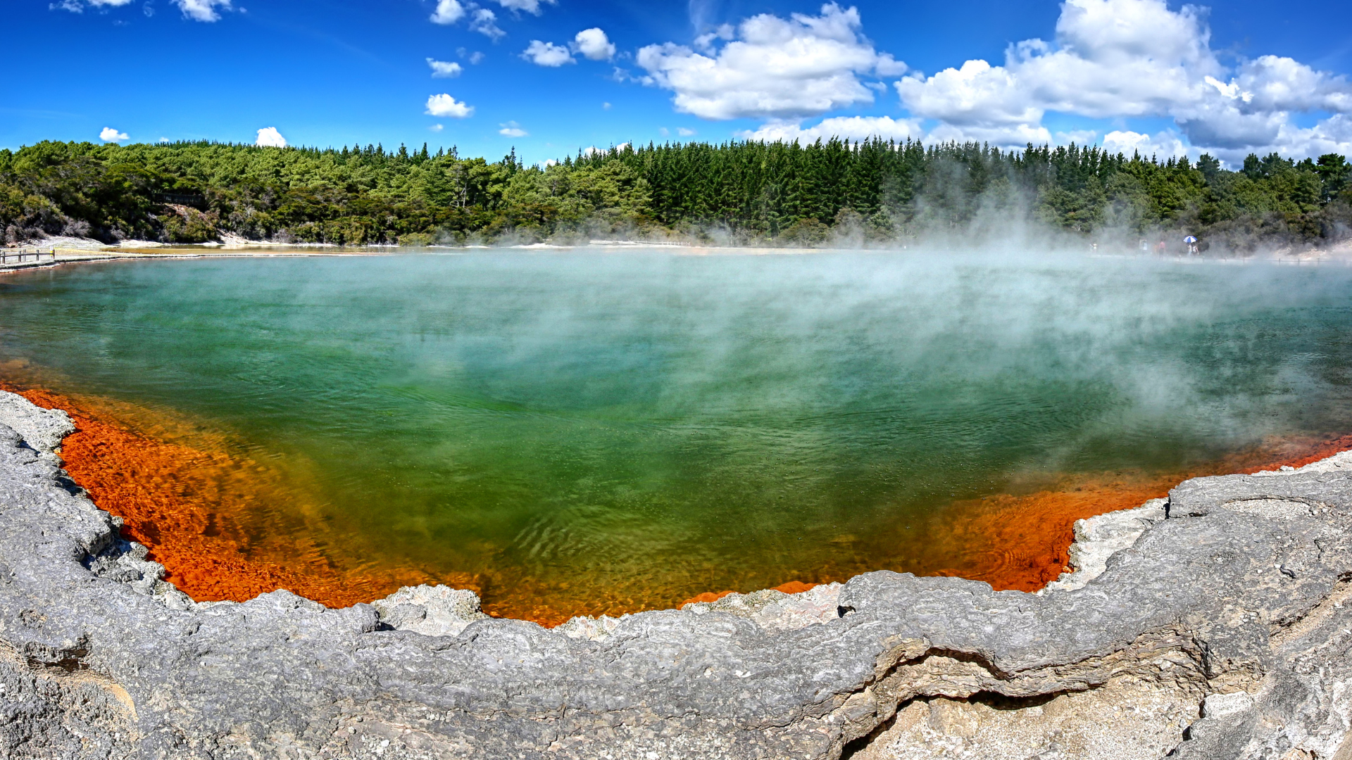 wai-o-tapu.png